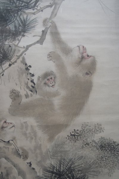 Mori Sosen, scimmie tra i pini davanti a una cascata da Mori Sosen