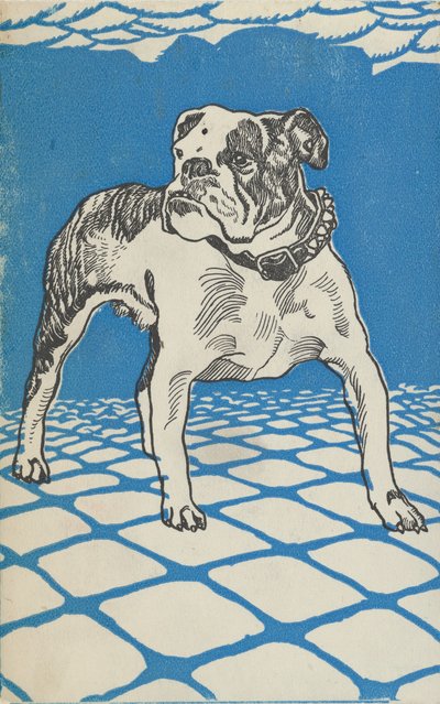 Bulldog da Moritz Jung