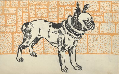 Pitbull Terrier, 1912 da Moritz Jung