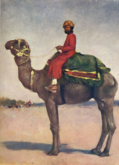 Un cavaliere di cammelli da Kota, 1903 da Mortimer L Menpes