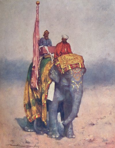 Un elefante dalle sabbie di Rajputana da Mortimer L Menpes