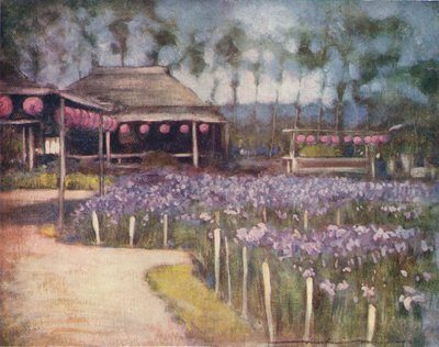 Giardino di iris, c1887, 1901 da Mortimer L Menpes