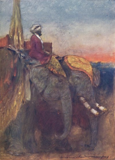 Elefanti di Jaipur da Mortimer L Menpes