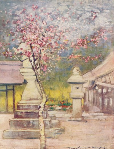 Fior di pesco, c1887, 1901 da Mortimer L Menpes