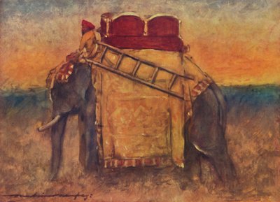 Un elefante dell