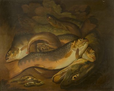 Pesci da Moses Haughton