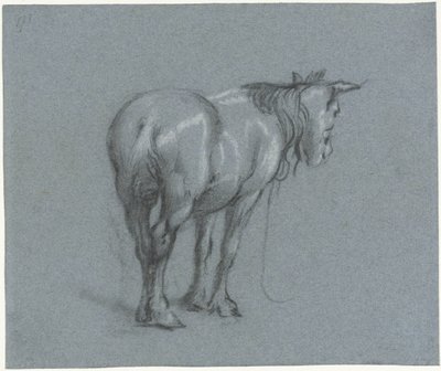 Studio di un cavallo da dietro, verso destra (serie Cavalli da lavoro in piedi) da Moses Ter Borch