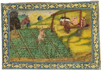 Scena pastorale da Mughal School