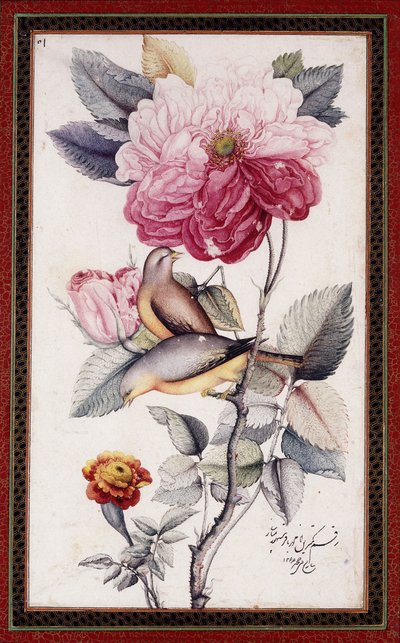 Gul-o Bulbul, c. 1849-50 da Muhammad Baqir