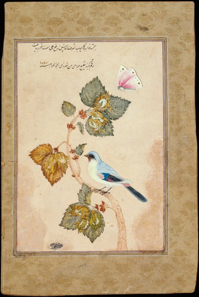 Un uccello su un ramo di nocciolo da Muhammad Shafi Abbasi