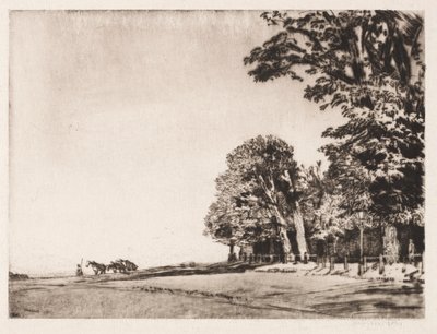 Brughiera di Hampstead da Muirhead Bone