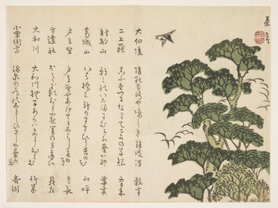 Grande albero e uccelli, c.1830-44 da Murata Kagen