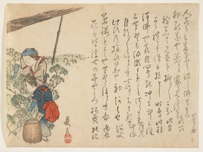 Raccoglitori di tè, c.1830-44 da Murata Kagen