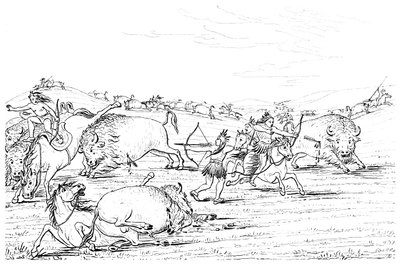 Nativi americani che cacciano bufali, 1841 da Myers and Co