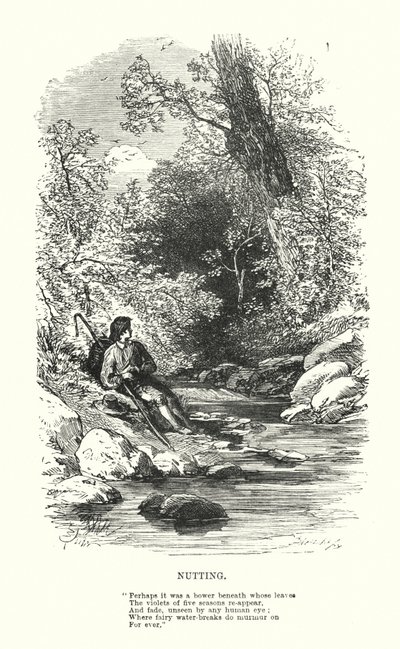 William Wordsworth: Nutting da Myles Birket (after) Foster