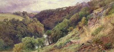 Una valle nel Devonshire da Myles Birket Foster