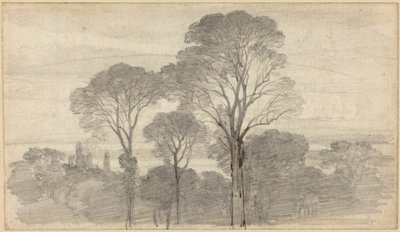 Un paesaggio serale con alti alberi da Myles Birket Foster