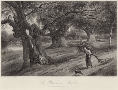 A Burnham Beeches da Myles Birket Foster