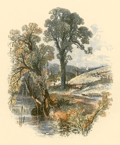 Bellezze della natura da Myles Birket Foster
