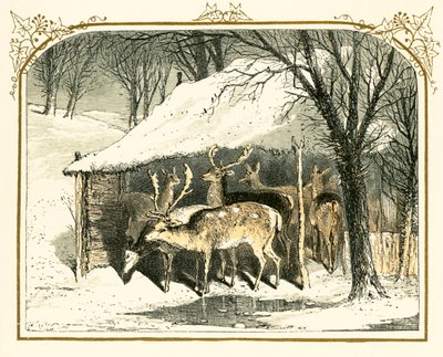 Cervi nella neve da Myles Birket Foster