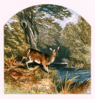 Illustrazione per 