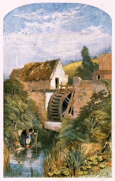Illustrazione per 