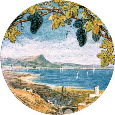 Illustrazione per 