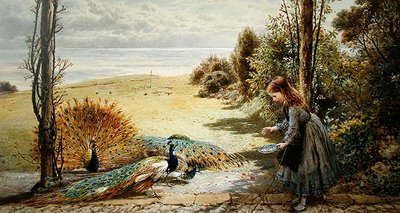 Pavoni da Myles Birket Foster
