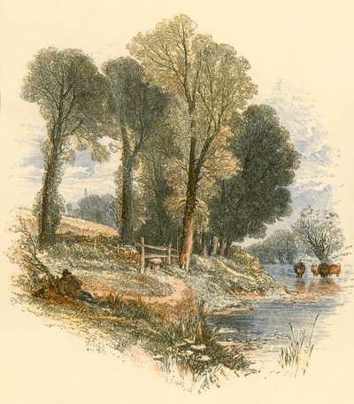 Passeggiate domenicali da Myles Birket Foster