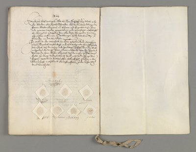 Certificato del trattato all