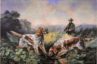 Sport di campo americani: Recupero da N. and Ives J.M. (after) Currier