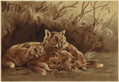 La tana dei ladri da N. Parker