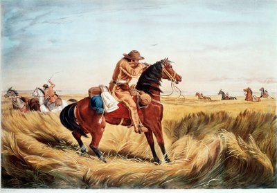  da N. and Ives J.M. (1824-95) Currier