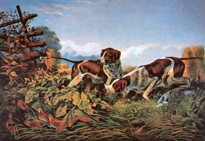 Sport di campagna americani: In punta da Currier and Ives