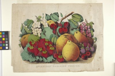 Frutta estiva americana da N. and Ives J.M. (1824 95) Currier