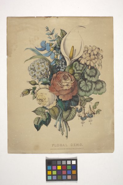 Gemme floreali da N. and Ives J.M. (1824 95) Currier