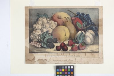 Frutti di Stagione da N. and Ives J.M. (1824 95) Currier