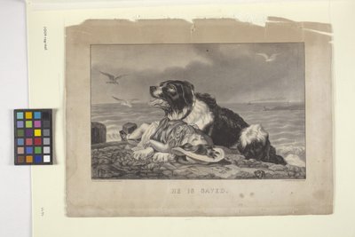 È Salvato da N. and Ives J.M. (1824 95) Currier