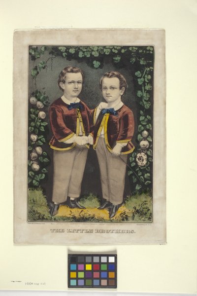 Fratellini da N. and Ives J.M. (1824 95) Currier