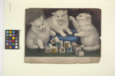 I miei tre gattini bianchi da N. and Ives J.M. (1824 95) Currier