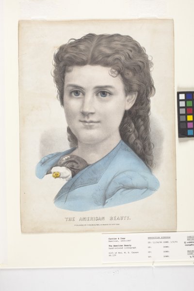 La bellezza americana da N. and Ives J.M. (1824 95) Currier