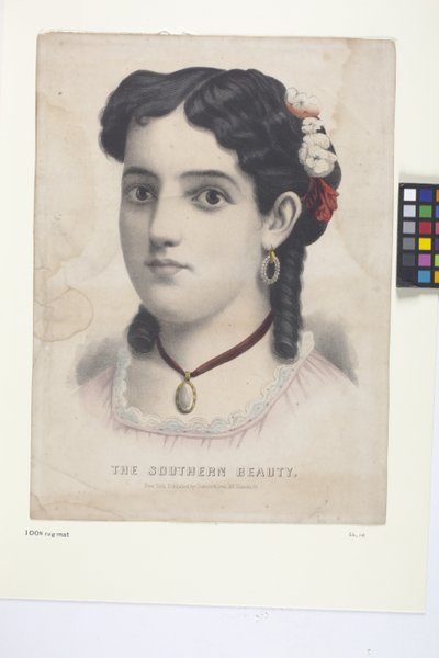 La Bellezza del Sud da N. and Ives J.M. (1824 95) Currier
