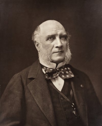 Élie-Louis, duca Decazes, statista e diplomatico francese, 1819-1886, c. 1853-77 da Nadar