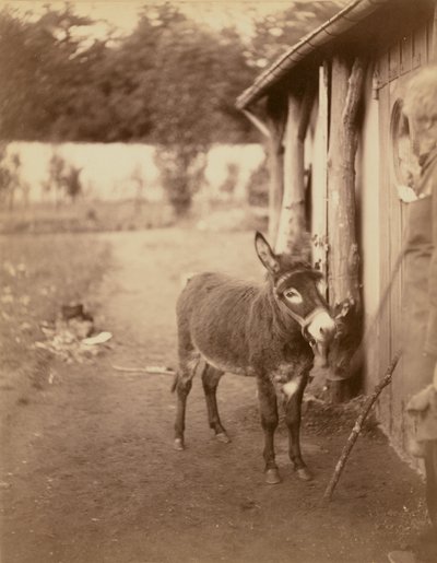 Sénart, l