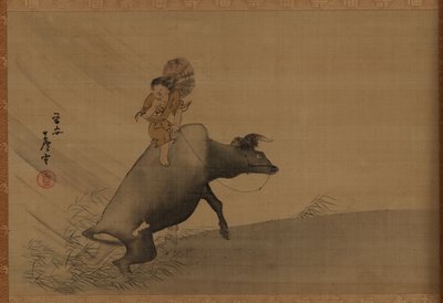 Pastorello su un bufalo d