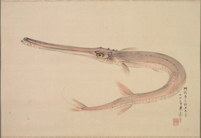 Pesce ago (Yagara) da Nakajima Raishō