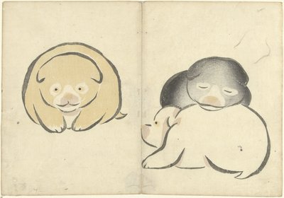 Tre cuccioli da Nakamura Hochu
