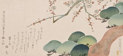Pino e fioritura di prugna, 1810-30 da Nakamura Hochu