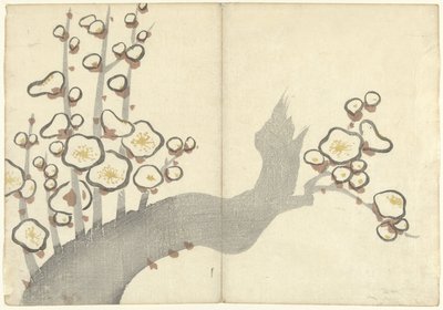 Fiori di prugna (Album di stampe di Korin) da Nakamura Hochu