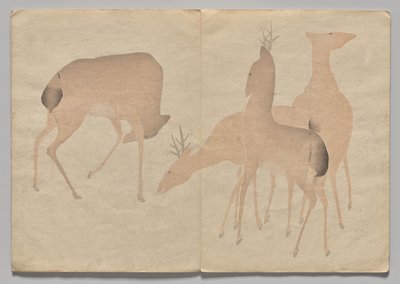 Scena dal Libro delle Immagini di Kōrin (Volume 1) da Nakamura Hochu